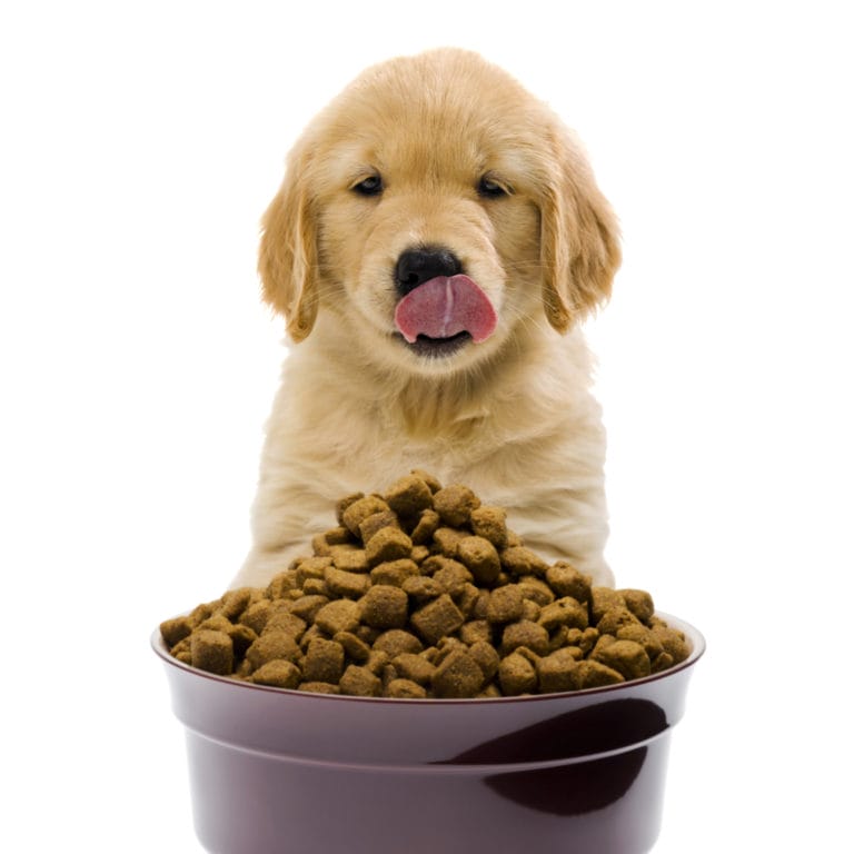 How are dry dog food or pet food (kibbles) made?