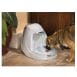 Drinking Fountain for dogs, cats, pets