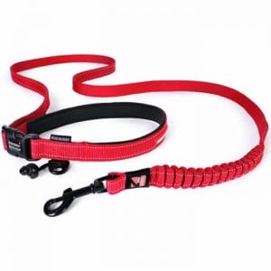 Road Runner Lead Leash Red